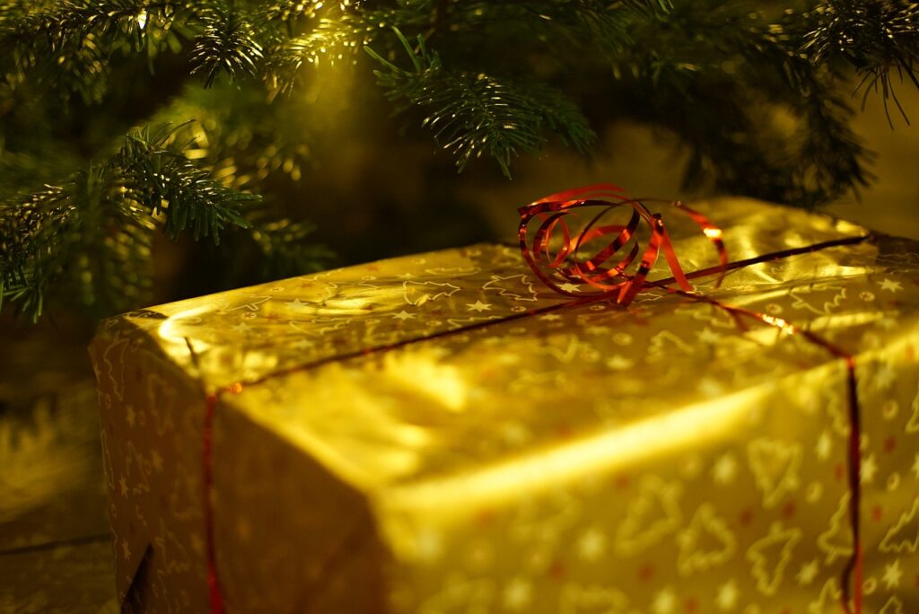 Husk: Sidste chance for at få Videolink til den lave julekampagne pris på kun 249 kr. pr. md. er lørdag d. 24. december kl. 23.59!🎄